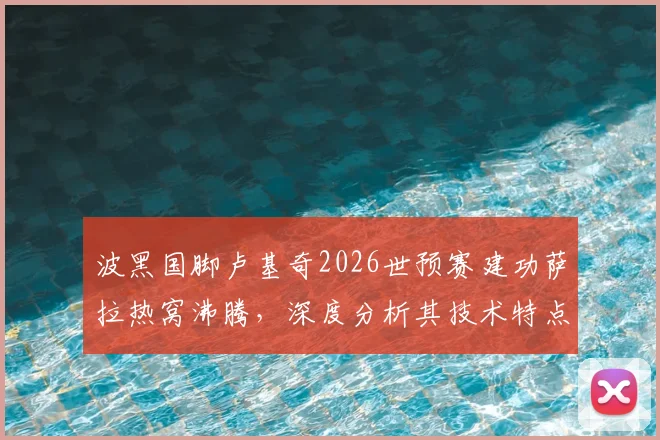 波黑国脚卢基奇2026世预赛建功萨拉热窝沸腾，深度分析其技术特点与欧洲杯前景