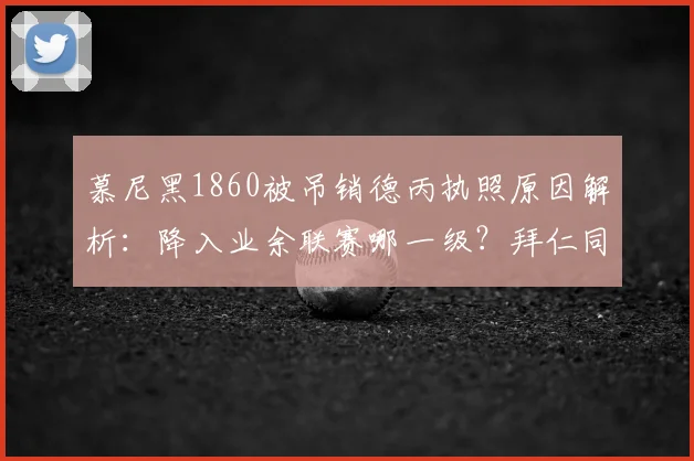慕尼黑1860被吊销德丙执照原因解析：降入业余联赛哪一级？拜仁同城死敌现状与历史对比